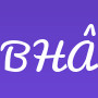 Bardia Haddadi  
