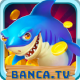 Avatar for Bancatv