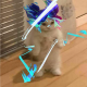 Motysten