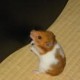smartygo@github