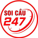 Avatar for Soicau247 Biz