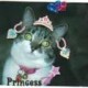 Amy Orvin avatar