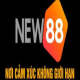 Avatar for Nhà cái NEW88