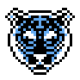 Avatar for MSiddeek