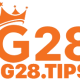 g28tips1