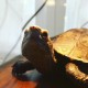 寺島 大輔のアバター