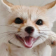 numaplay