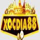 Avatar of xocdia88cocom