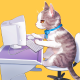 bells17@github