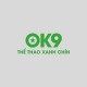 ok9charity
