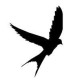 Swift avatar