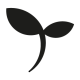 thyme_design