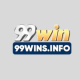 99winsinfo