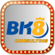 bk8consulting