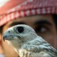 Avatar for Digital Marketing Services in Dubai