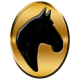 lonehorseend