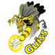 guiss