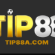 Avatar for Nhà Đài TIP88A