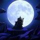 Nightburn