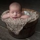 Avatar for Jenn Brookover Photography