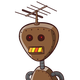 guest
