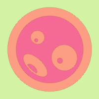 clowd24