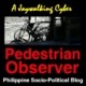 Political Jaywalker Avatar