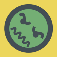 Spineenweb