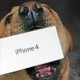 happymac's picture