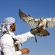 Avatar for Hard Drive Data Recovery Dubai