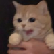 MarkWeeb