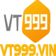 Avatar for VT999