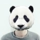 Avatar for Peter Hsu