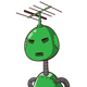 guest