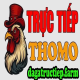 Avatar for ĐÁ GÀ TRỰC TIẾP FARM