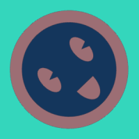 anonym (guest)