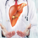 Photo of liversupport