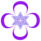 raya_enterprise