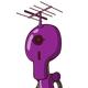 guest