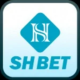 shbet800com01