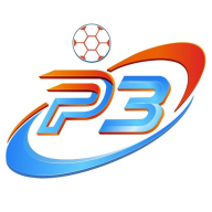 p3vin1