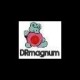 Dušan ROVANŠEK-drmagnum