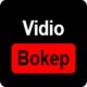 vidiobokep | RPG Maker Forums