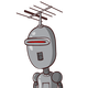 guest