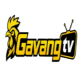 gavangtvttbd