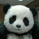 panky