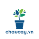 Avatar for Chậu Cây