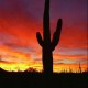 phxphun