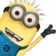 alexandru's picture