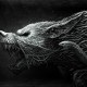 luka_cavic